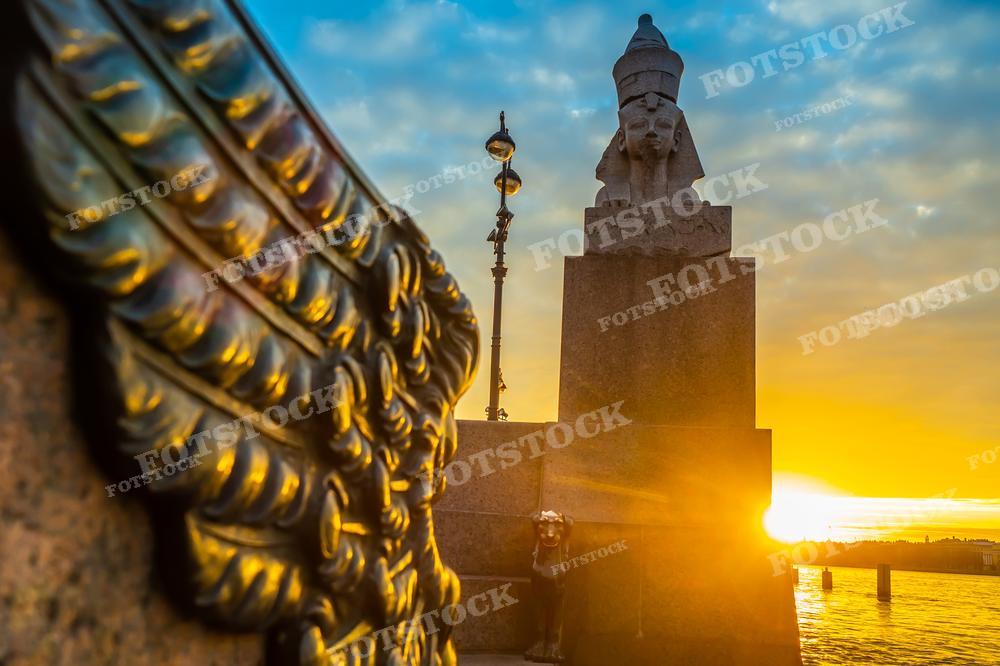 Эта фотография сделана на набережной в Санкт-Петербурге на закате. В фокусе — часть декоративного ограждения, а вдалеке виднеется один из сфинксов на Университетской набережной, всё это на фоне ослепительно красивого закатного неба. Такие кадры идеально подходят для использования в качестве визуального материала о культурном наследии города, в путеводителях и художественных альбомах.